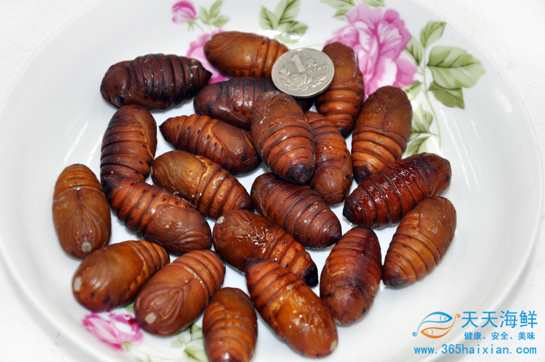 天天海鲜鲜活蚕蛹500g土特产美食年货即食蚕蛹高蛋白延缓衰老