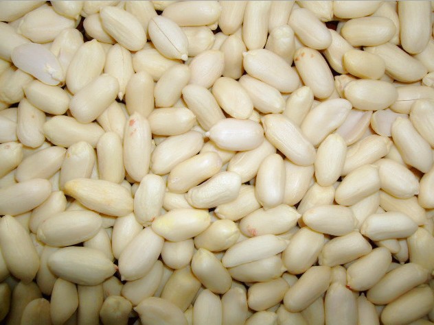 新货山东东特产出口级脱皮花生米