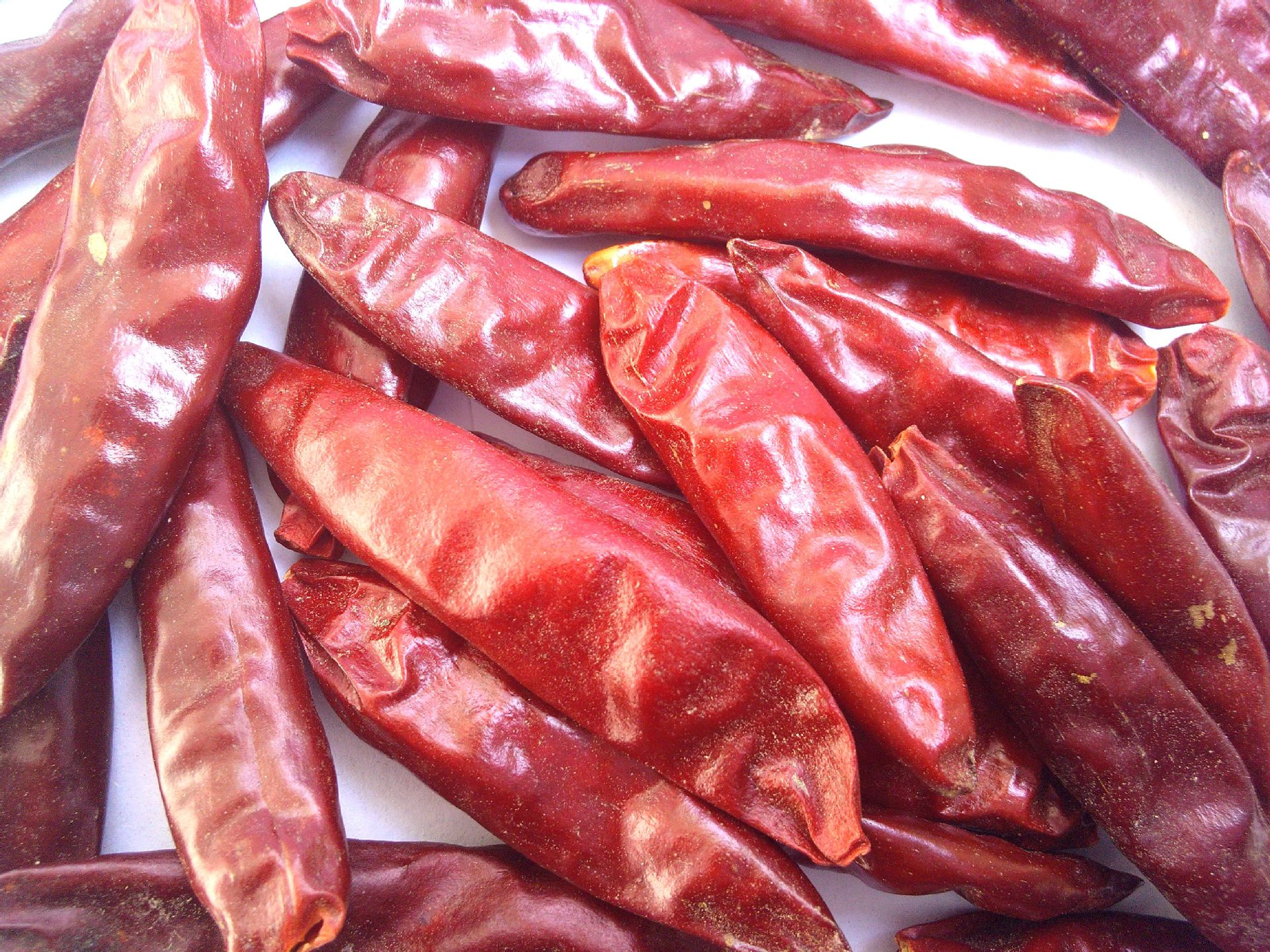 【朝天椒】一般辣度干辣椒微辣供应出口厂家批发辣椒干红辣椒干