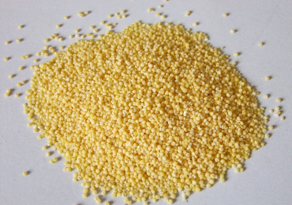 厂家直销 大批供应 优质原生态 无污染 养脾胃 五谷杂粮小米