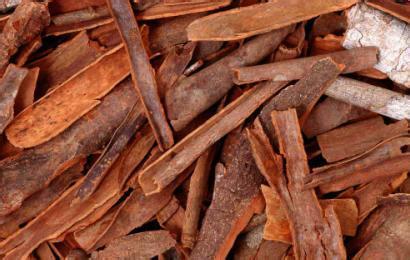 批发供应中药材肉桂