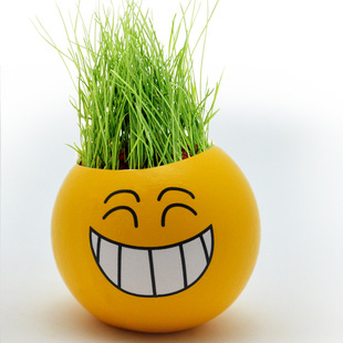 防辐射办公室植栽 草娃娃 炫酷卡通表情 草娃娃创意礼品 定制logo