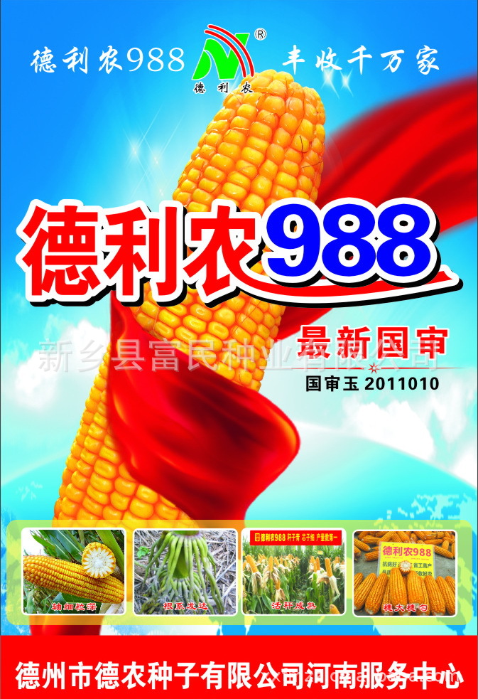 河南新乡国审 高产稳产高抗玉米品种 德利农988 价格***低玉米品种