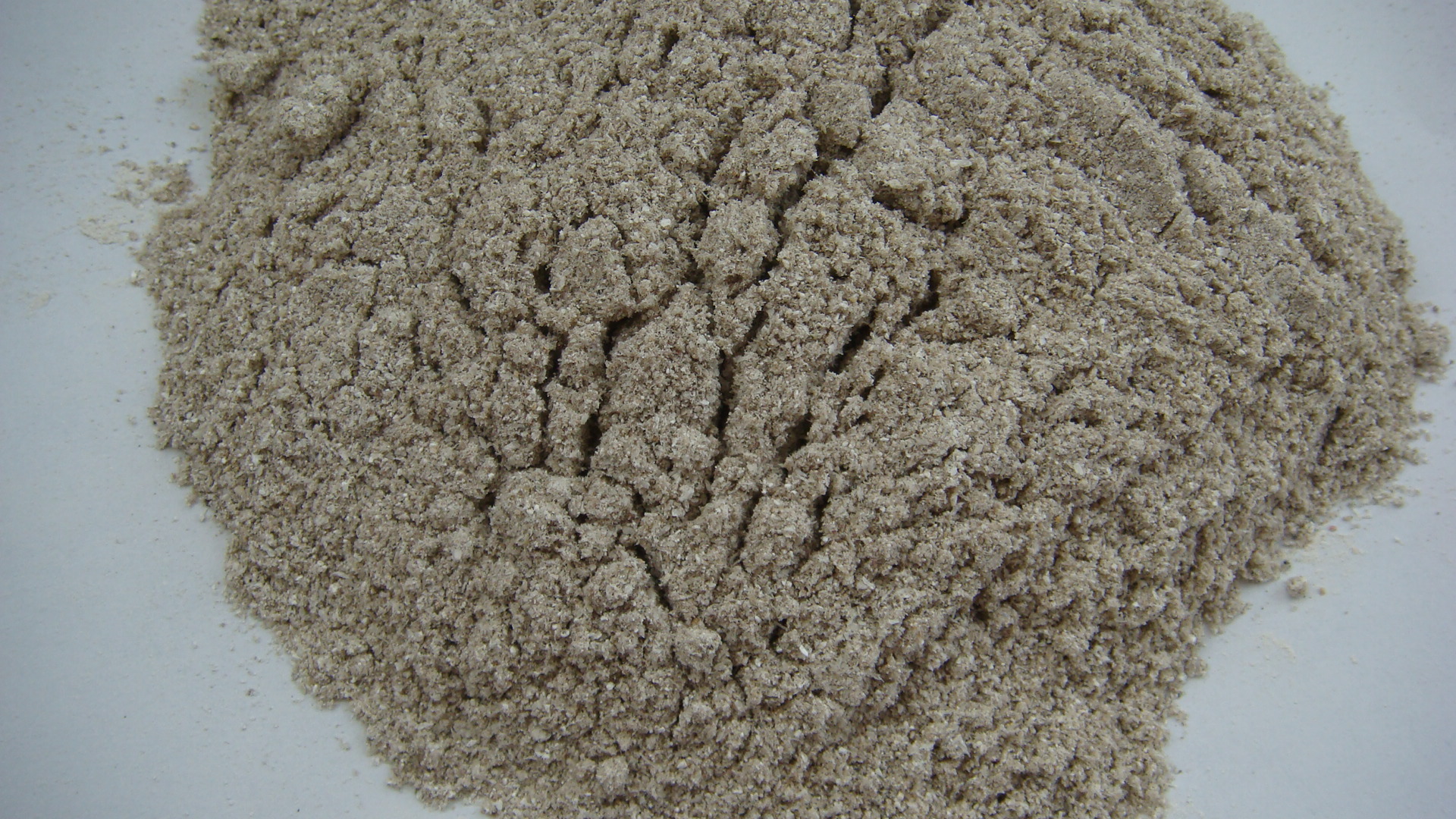 纯天然贝壳粉(质量好价格优)