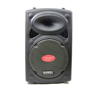 特美声297t拉杆音箱 12寸户外大功率移动电瓶音箱u盘插卡舞台音箱