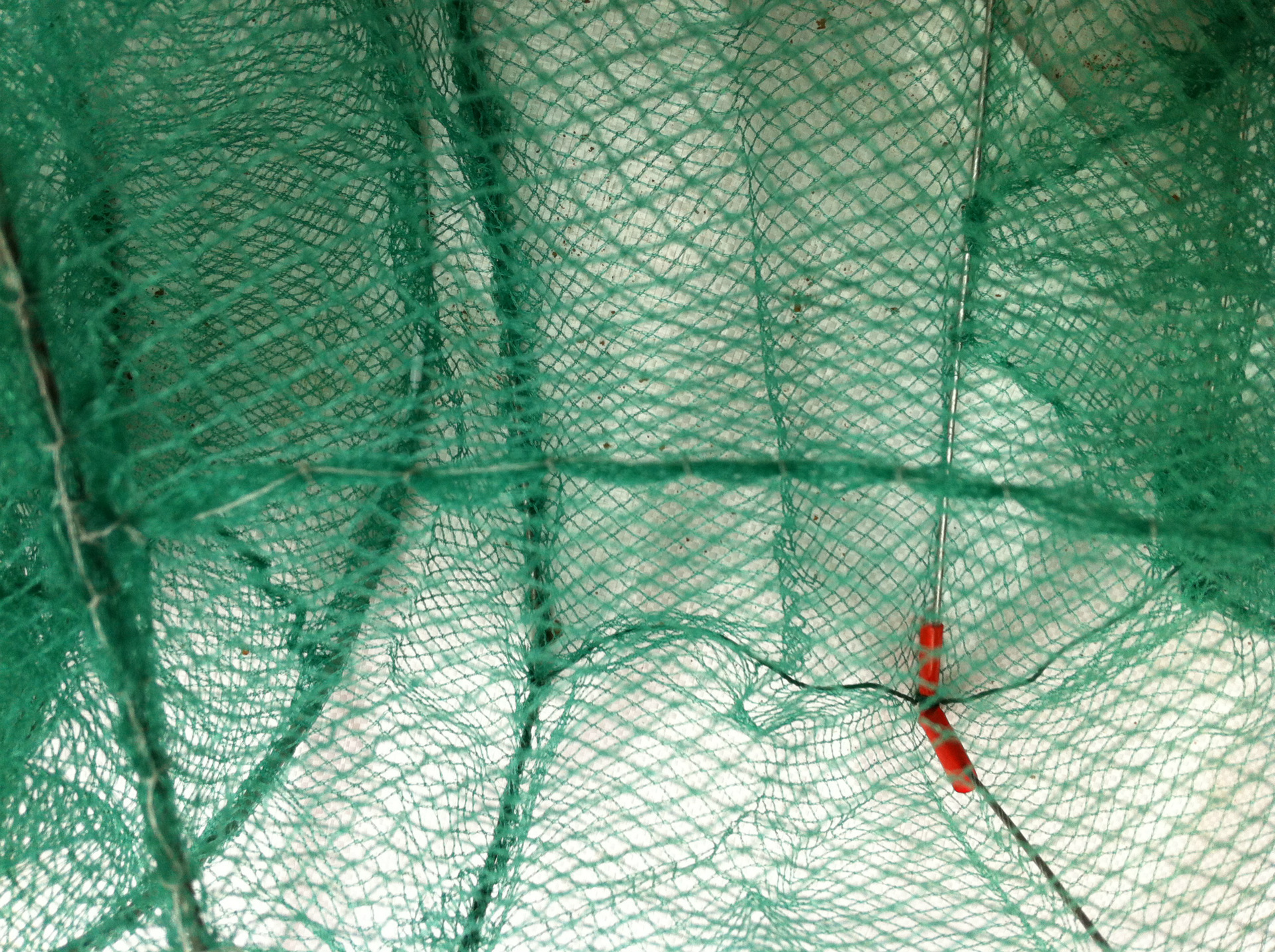 供应厂家直销-41节绿布大框架地笼批发