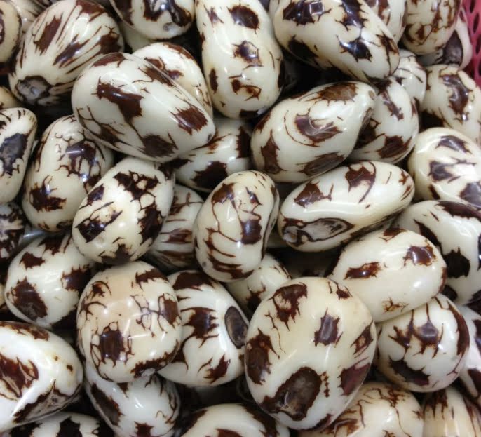 纯天然菩提根 象牙果特小果原料核雕把件 抢购价批发 1.1元一个