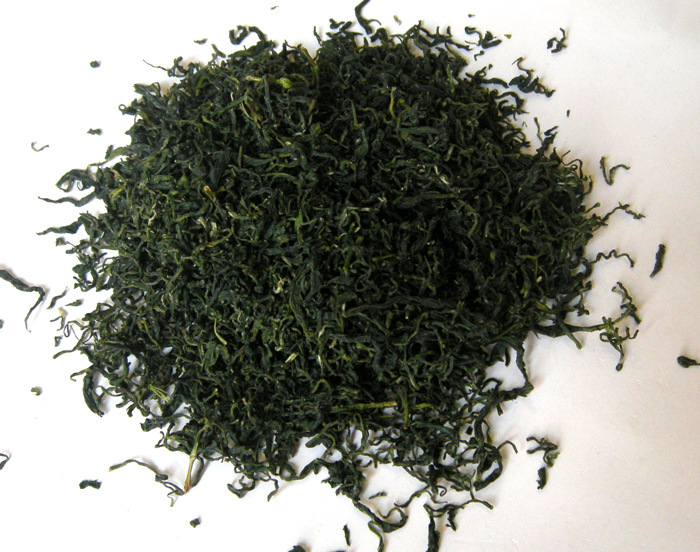 娄山春牌凤冈锌硒茶直条毛峰