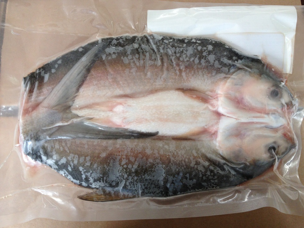 台湾虱目鱼 状元鱼 水产海鲜 虱目鱼批发 虱目鱼招商 诚招代理商