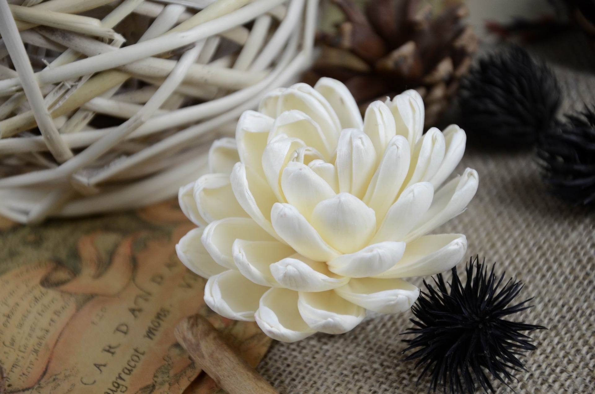 sola进口环保植物原材料 香薰花头 无芯莲花a 直径8cm 厂家直销