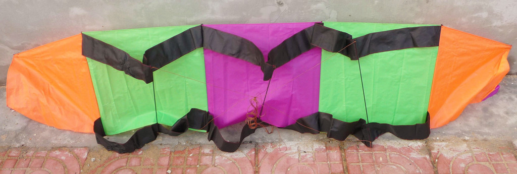 毛毛虫风筝图片_6