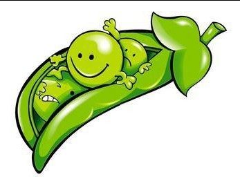 提供香脆可口,口感超好的同兴牌韩国泡菜味青豆,每件5公斤.