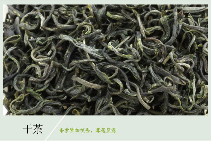 屏峰天山绿茶 芽针精制茶 福建宁德绿茶原产地散装500g