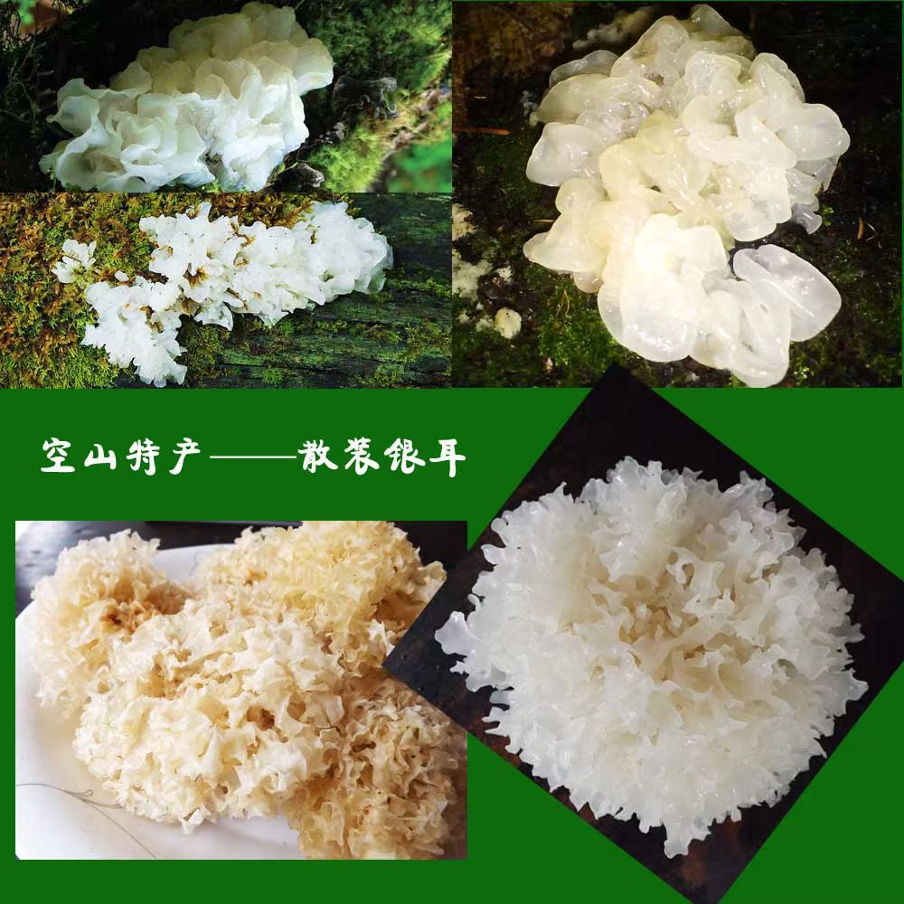 通江银耳小朵 散装1kg 野生干货食用菌四川特产批发