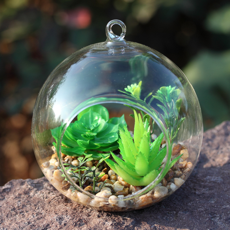 12cm水晶玻璃球仿真多肉植物盆栽微景观zakka摆件婚庆节日装饰品