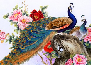 湘钰diy钻石画树脂方钻 孔雀牡丹 新款无拼接满钻