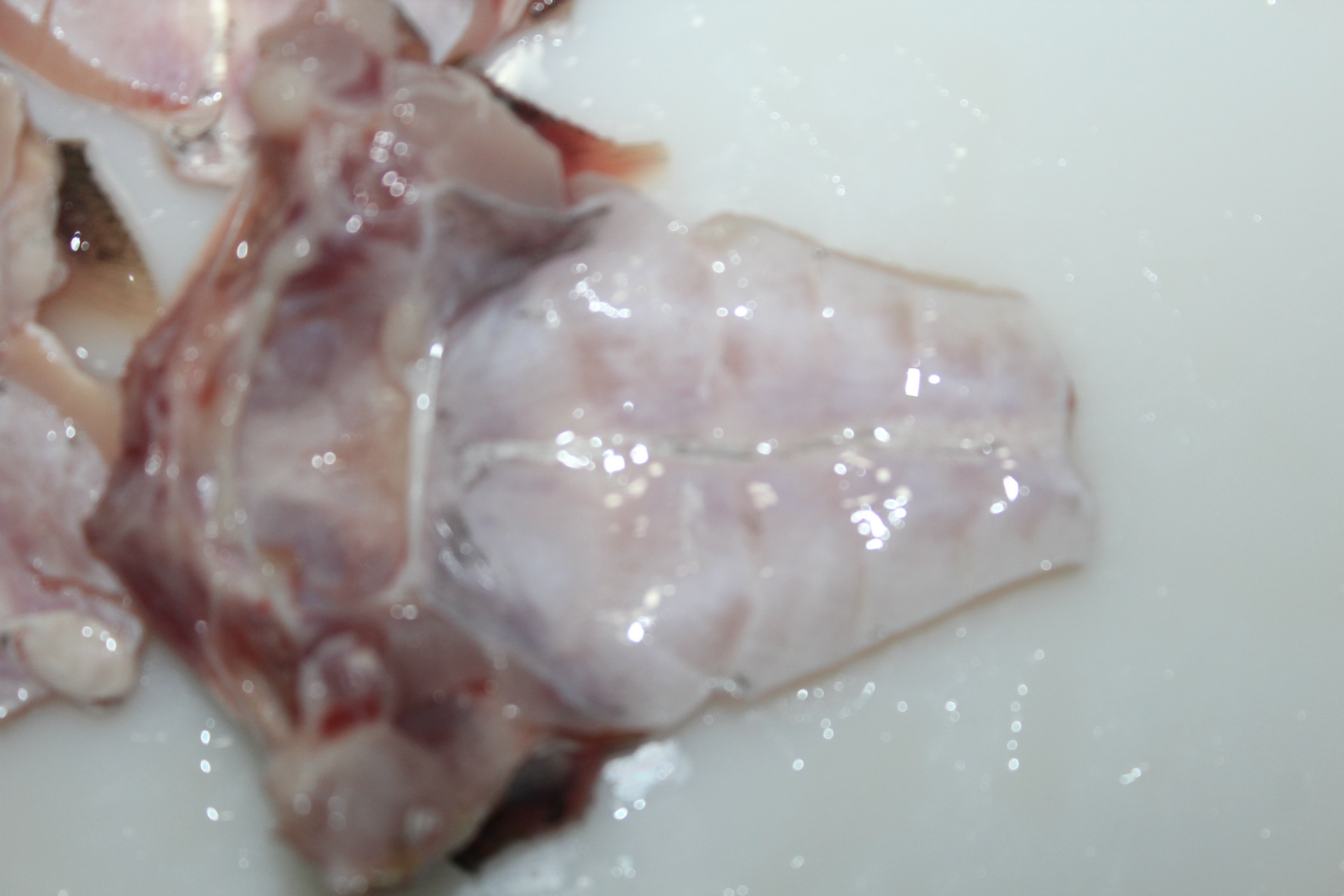 鱼下巴/鱼肋/单冻/淡水鱼加工鱼排/冷冻淡水鱼