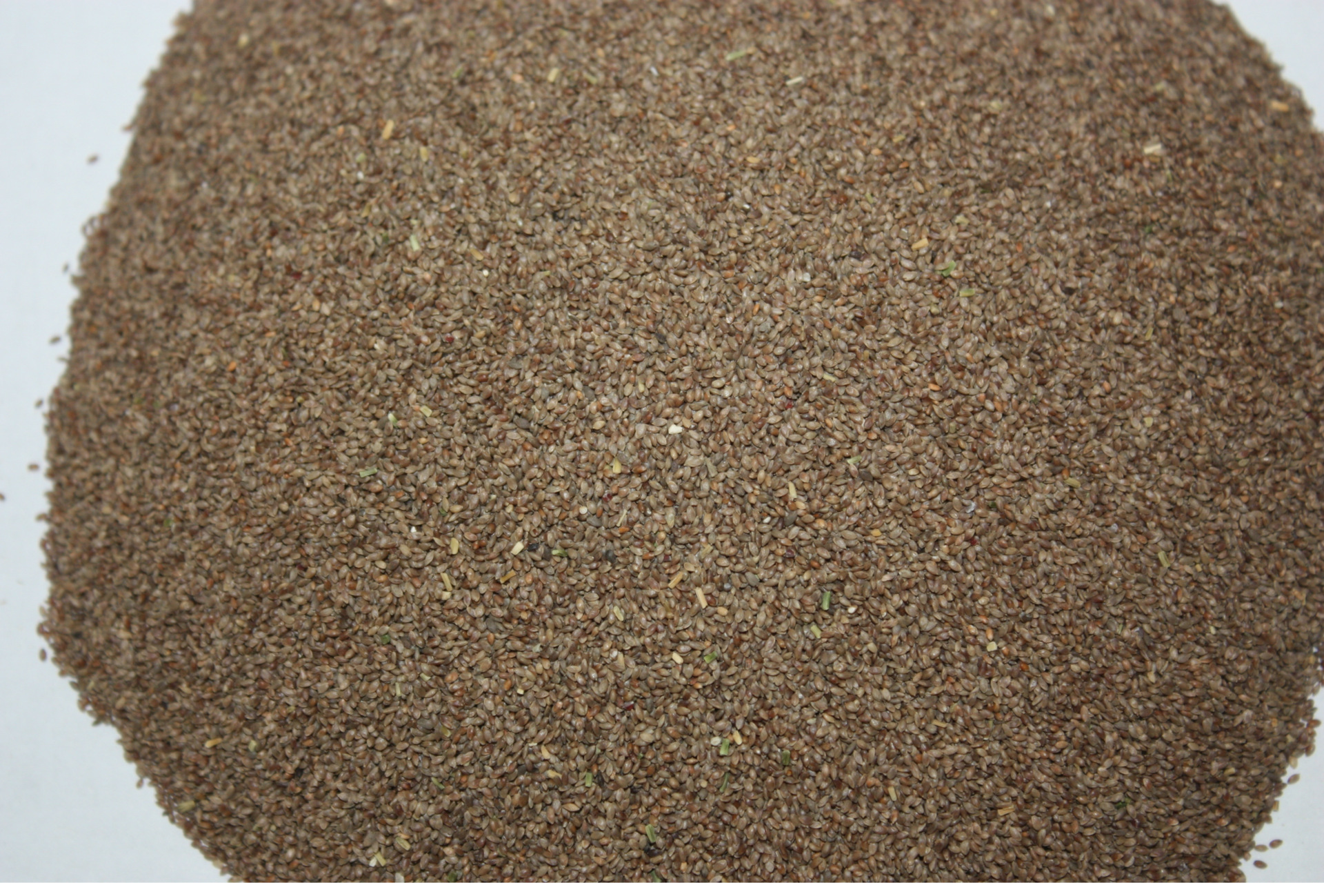 pers.禾本科,狗牙根属暖季型草坪草.