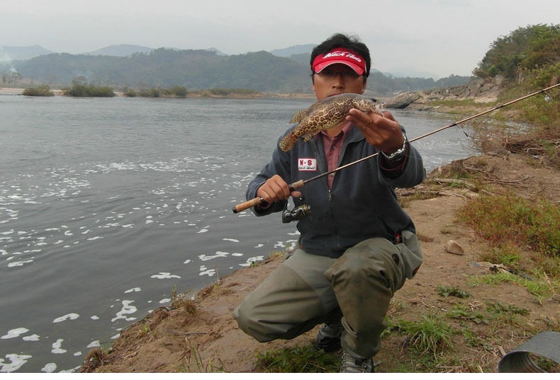 辽宁朝阳ns blackhole渔具 飞蝇竿芦管(桂鱼) 极细