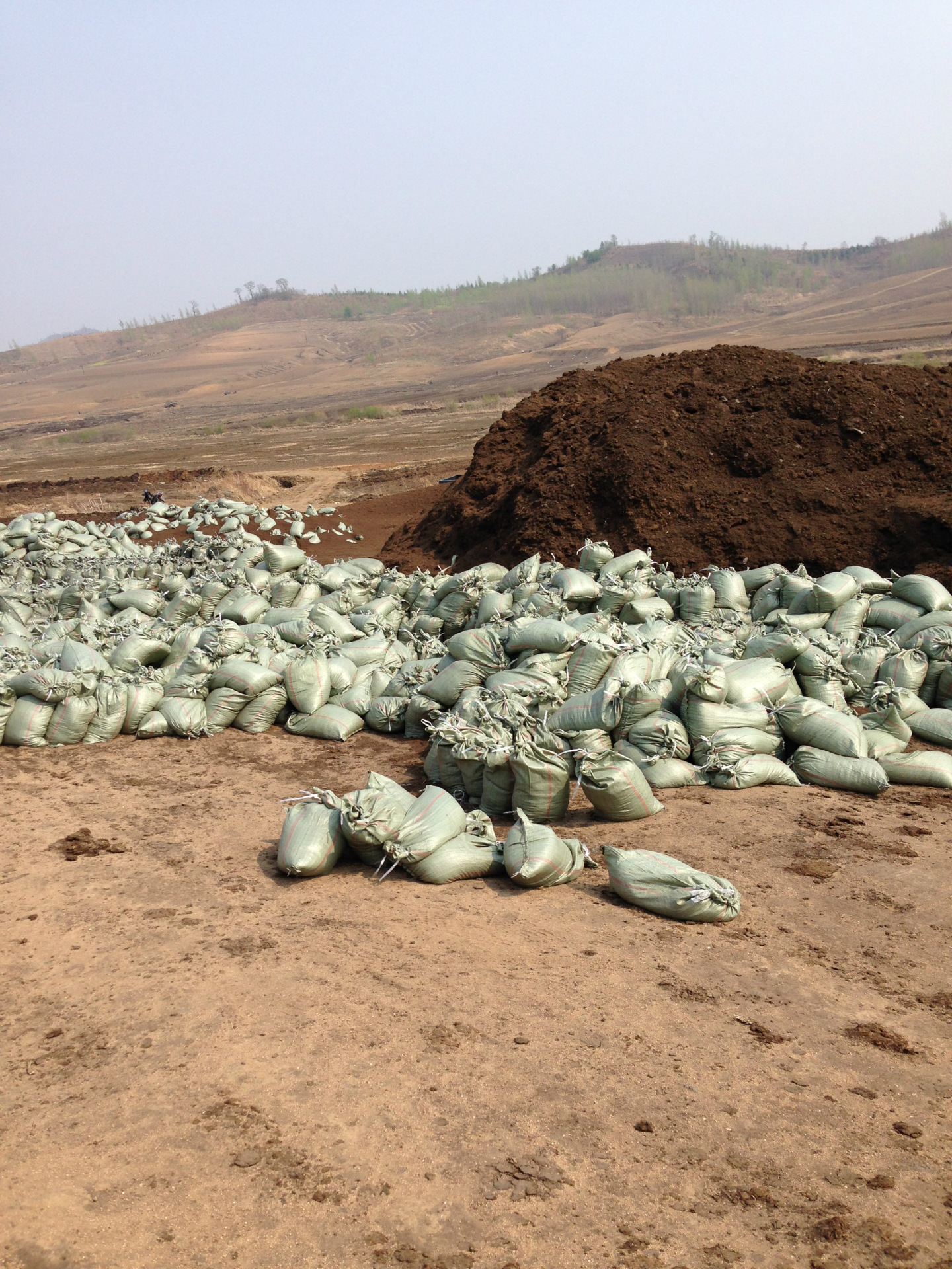 大量低价供应小区绿化专用草炭土,营养土.