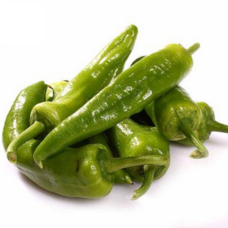 【汤山百年绿源】 天然非转基因有机辣椒 尖椒 约500g/份