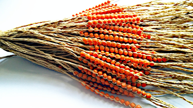 幸运草手链 淘宝赠品 时尚情侣拉菲草许愿手链 流行地摊饰品2元店