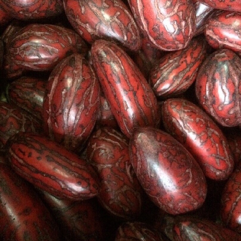 千眼菩提籽通货打磨     需要本厂精抛光成品绿色和红色精品果的朋友