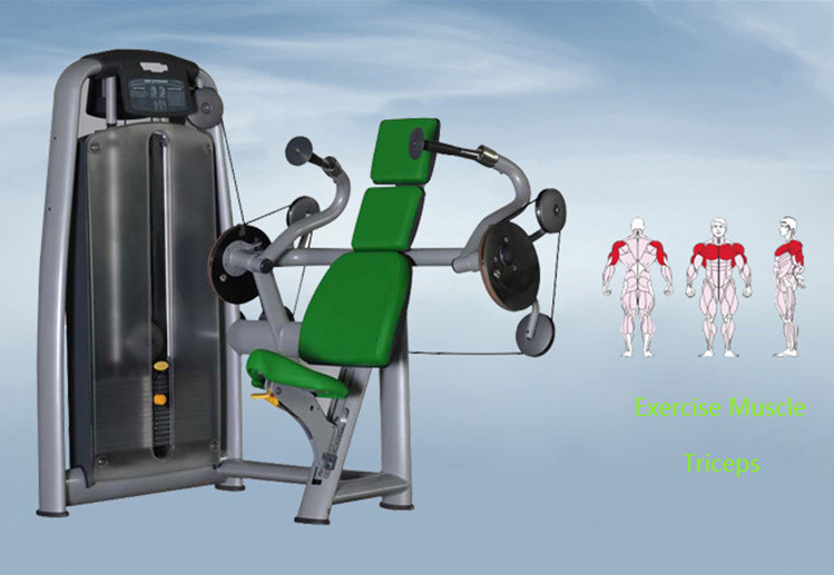 三头肌健身器材 大型健身器械 工厂直销