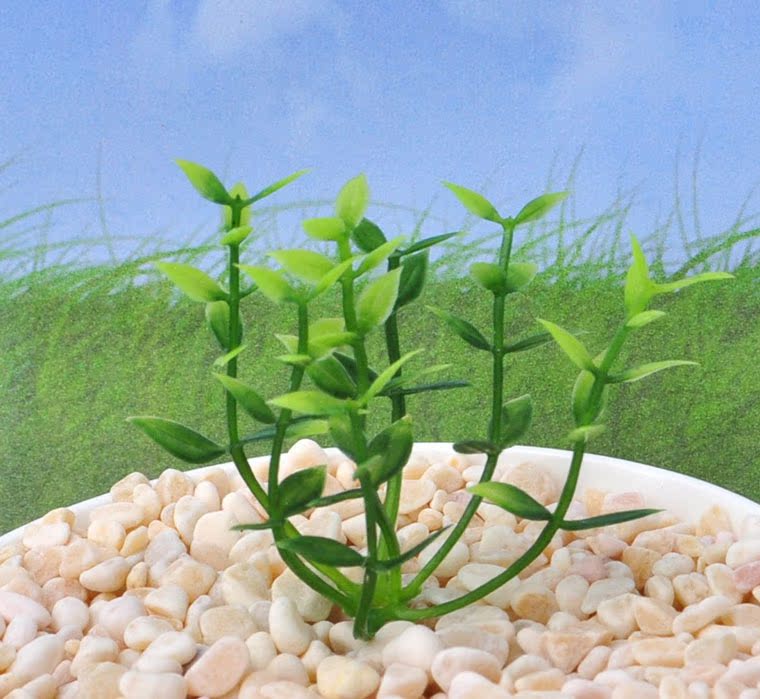 苔藓微景观玻璃瓶内植物 水草园艺盆景 水族箱草 仿真花草 j09