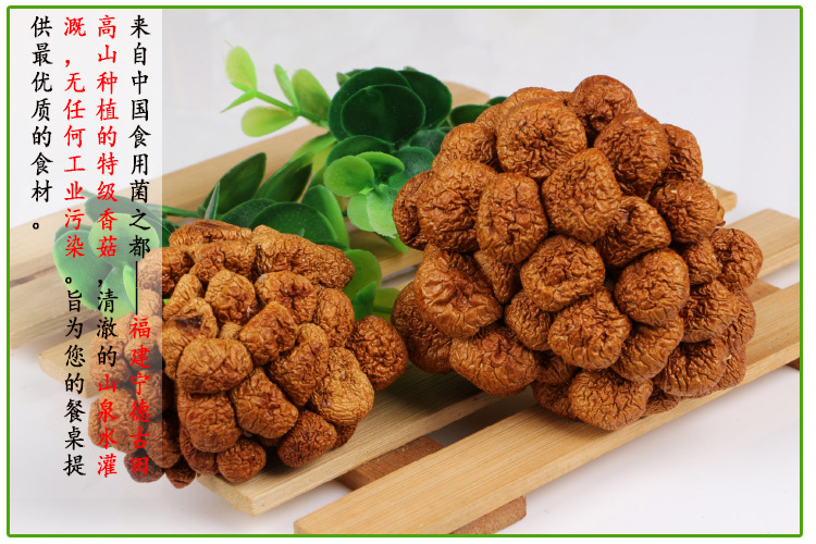 食用菌产地直销一级滑菇 古田滑子菇