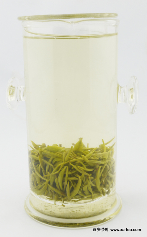 特级绿针玻璃杯泡茶