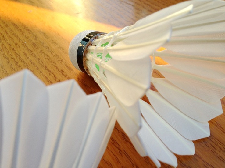 厂家年底特价 亚克羽毛球 101 一级鹅刀翎 稳定耐打 专业比赛级