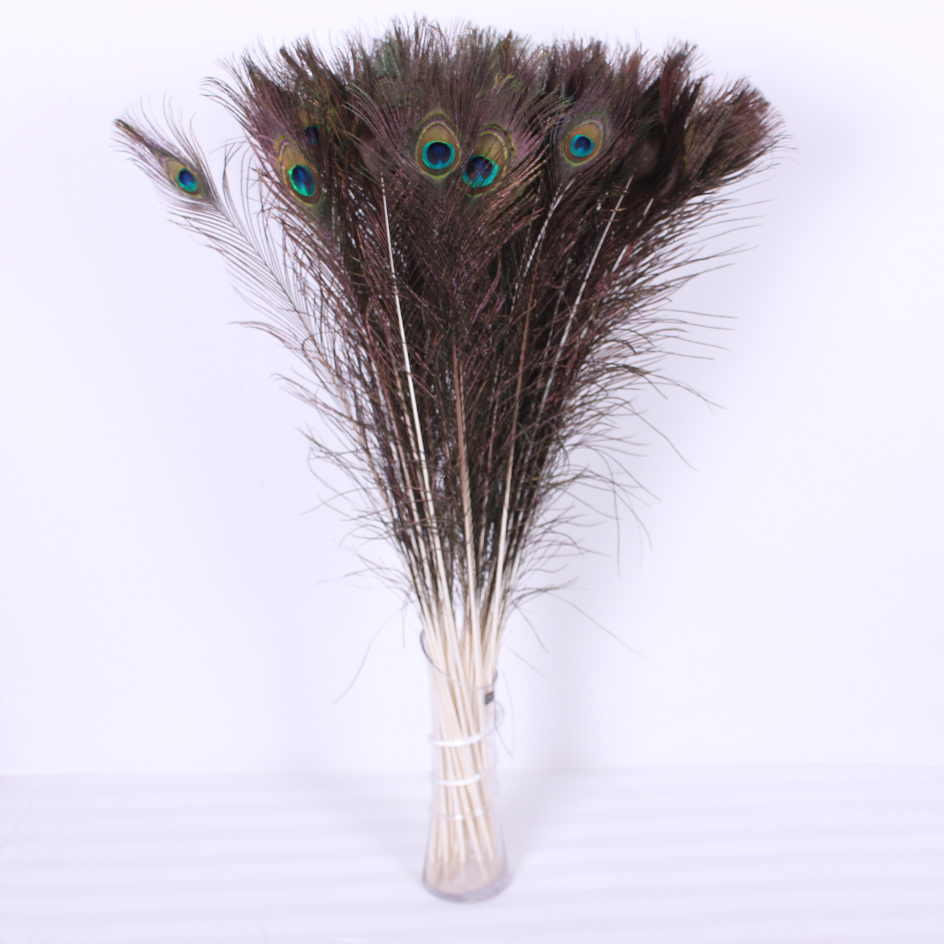 孔雀毛 装饰品 真孔雀翎毛 天然工艺品装饰 孔雀羽毛图片_14