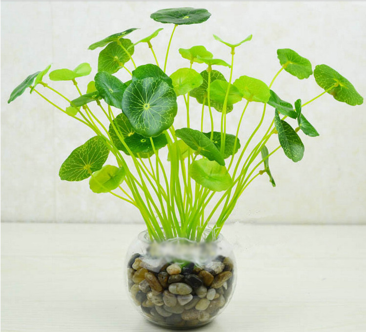 小小金钱叶 绿色植物 荷叶 小荷叶 手感小荷叶 高仿真植物盆栽