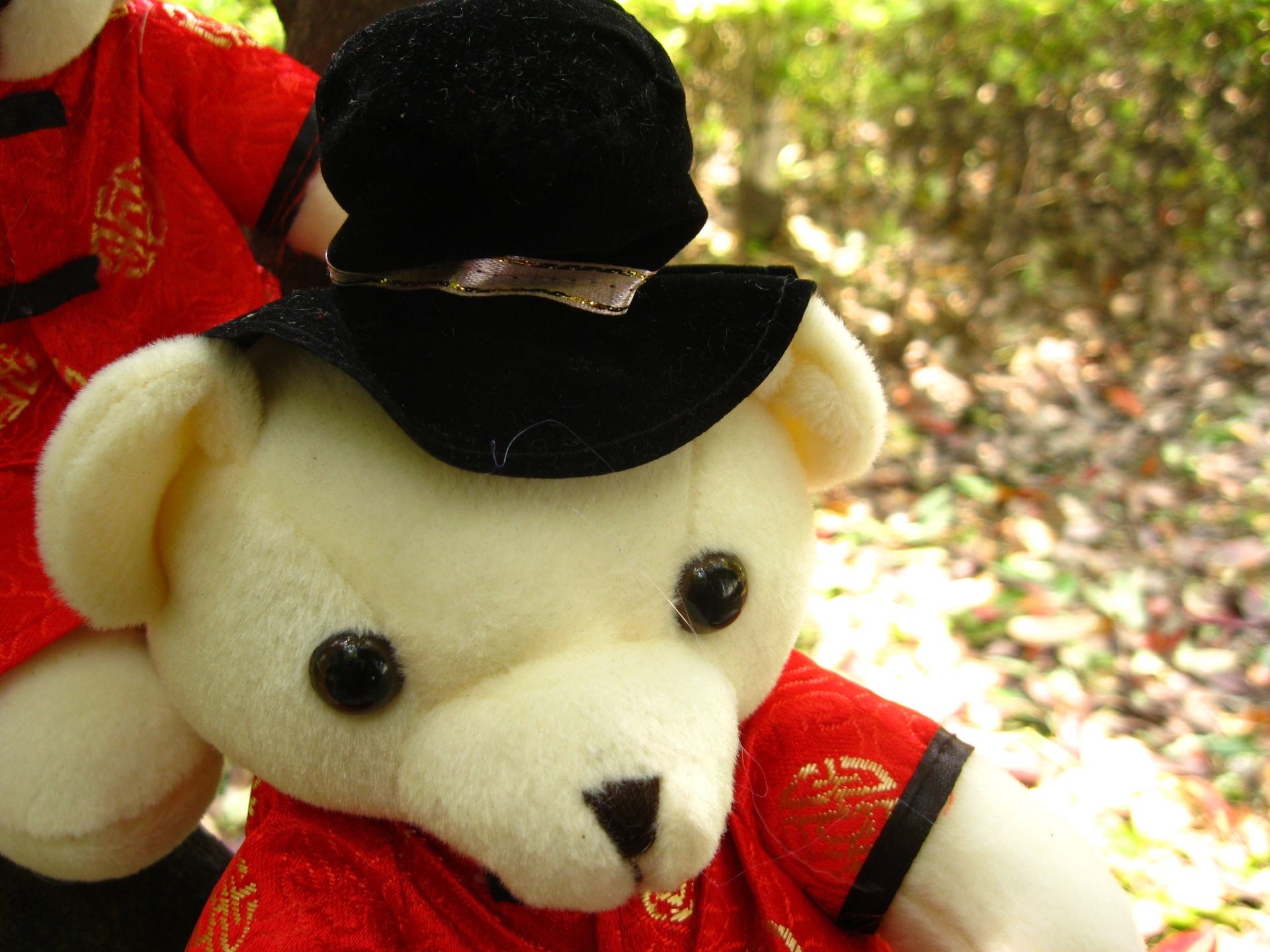 td-w1结婚庆用品批发结婚礼物婚房情侣熊棉布娃娃玩具