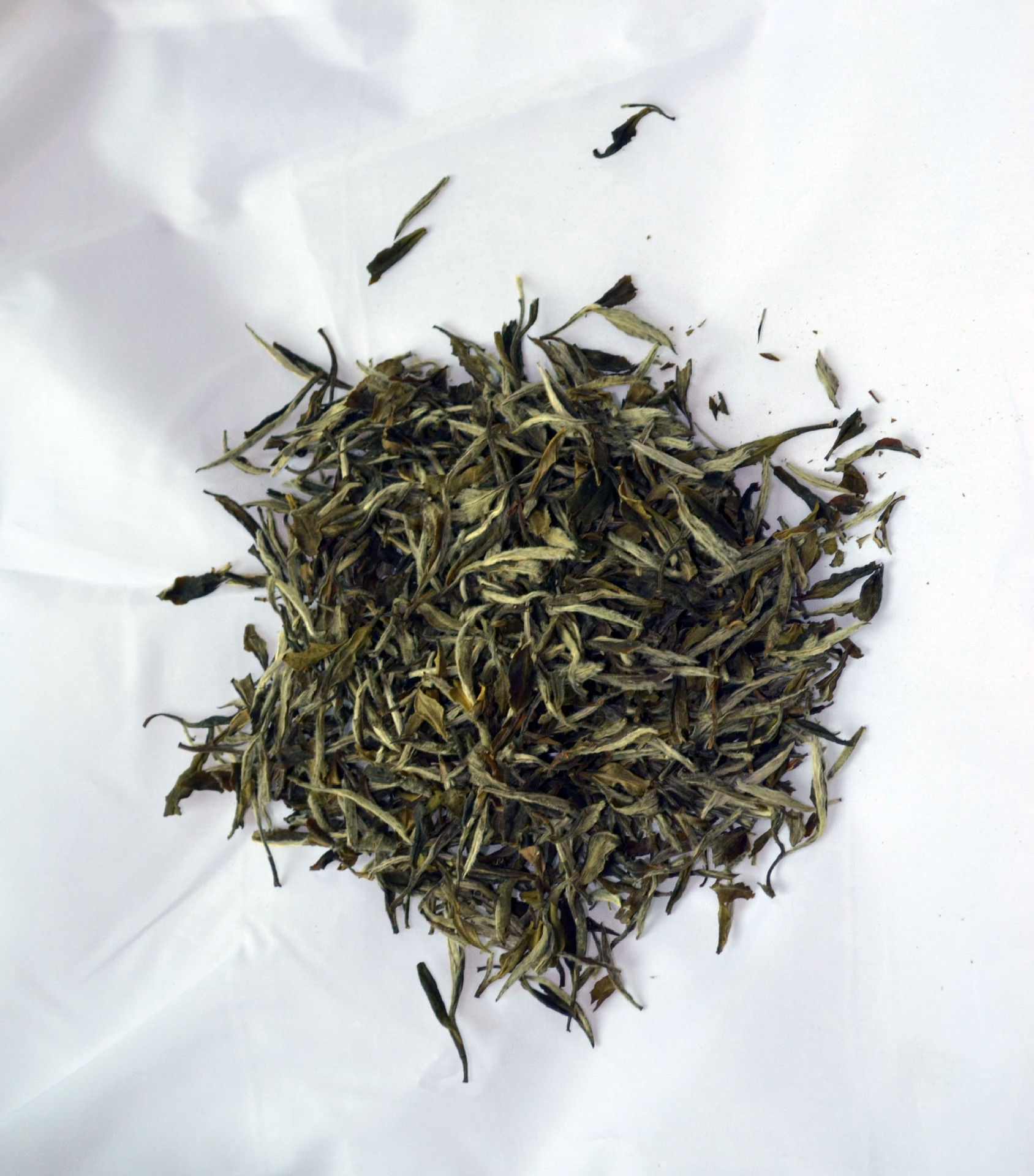 福鼎白茶 白牡丹 白牡丹(2008年)
