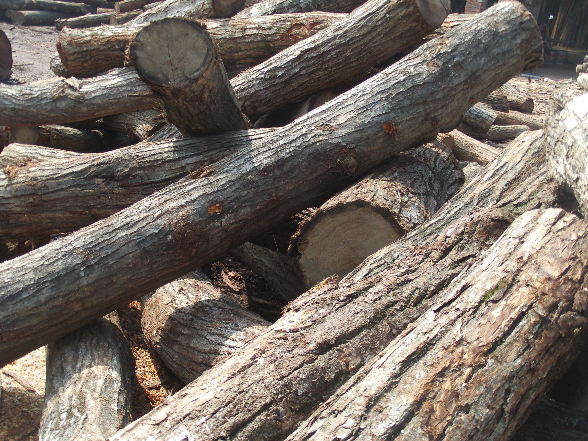 厂家直销硬杂木 杂木 板栗木 尖栗木 原材料 可订制加工