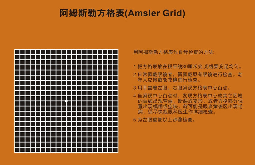 阿姆斯勒方格表(amsler grid)