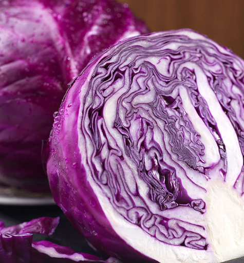 今日新品  有机紫包菜  特价限量供应  绿色有机食品