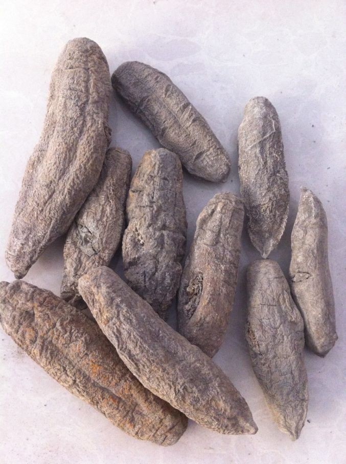 茄参 泥巴参 价格低廉 营养丰富 大量批发