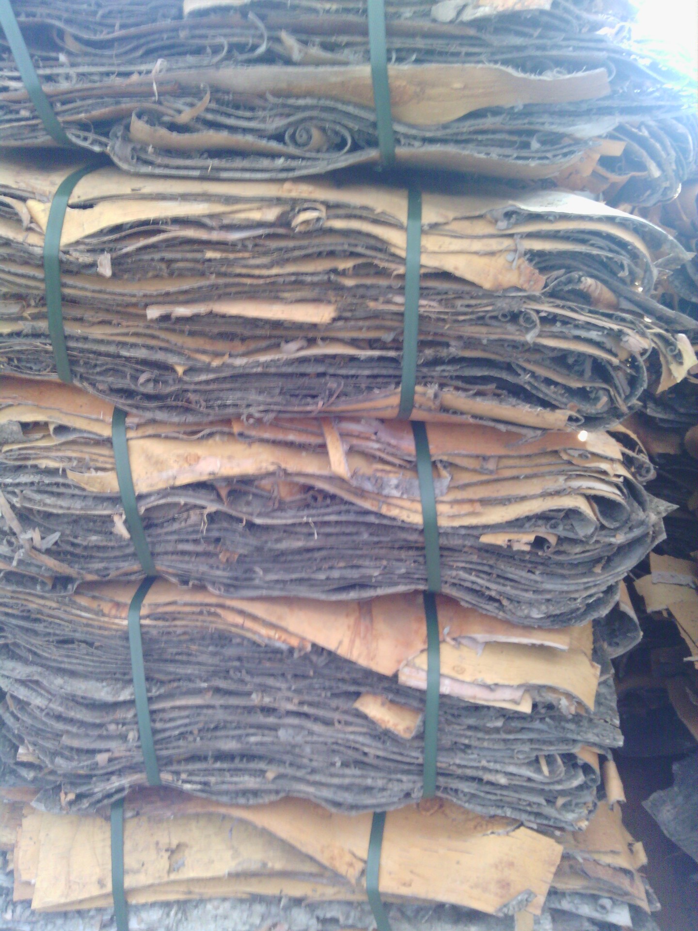 出售长白山灰桦树皮,天然白桦树皮