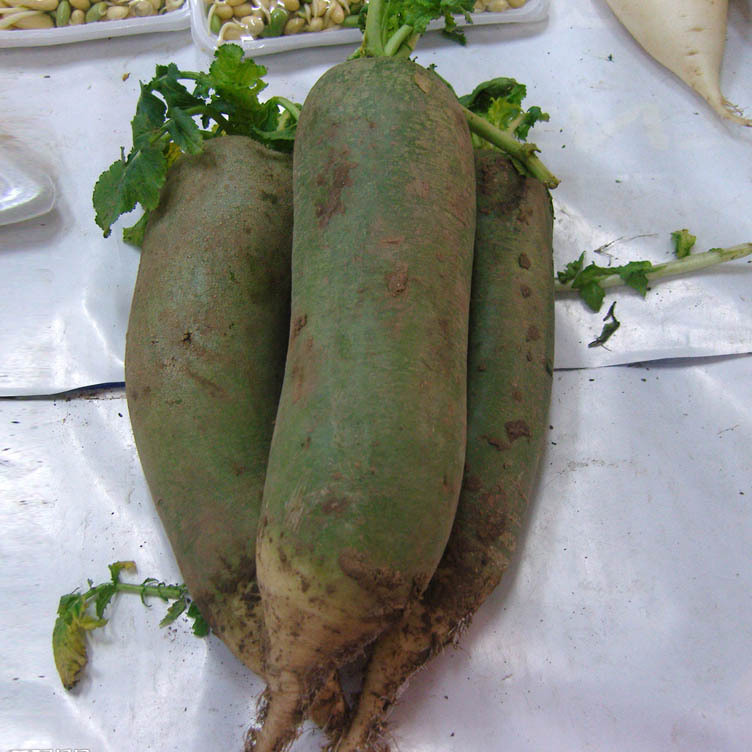 心优美 无公害老潍县青萝卜 新鲜蔬菜-胶胶者橡胶产业网