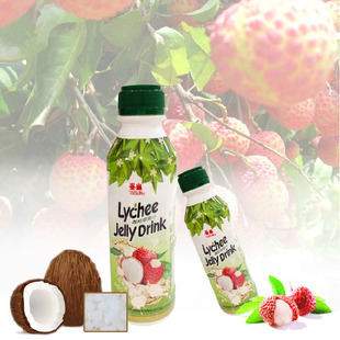 台湾原装进口果味果肉饮料 泰山荔枝椰果汁510ml 批发
