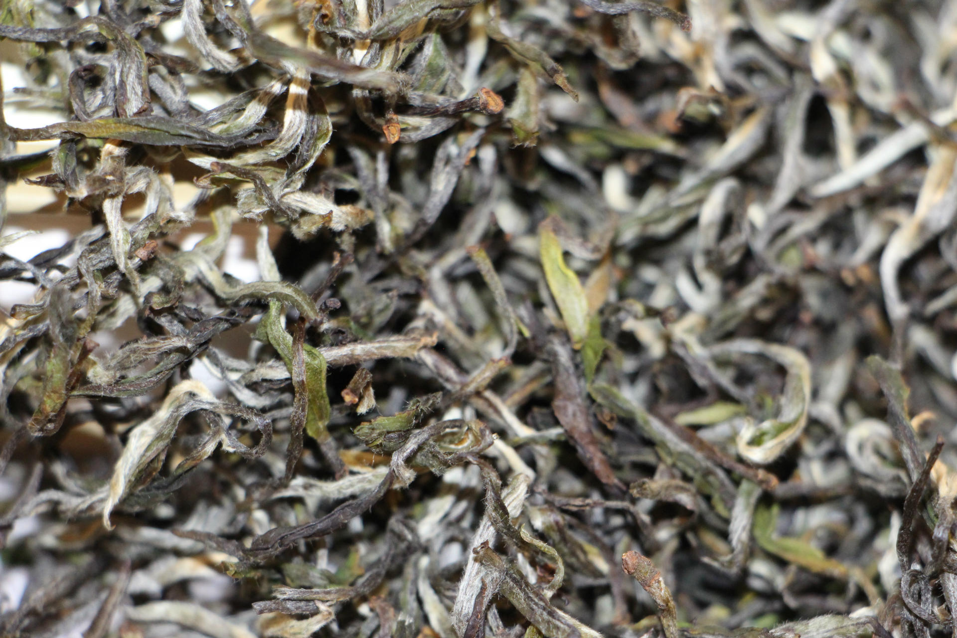 厂家直销 白毛猴 白茶绿茶 口感独特 回甘好