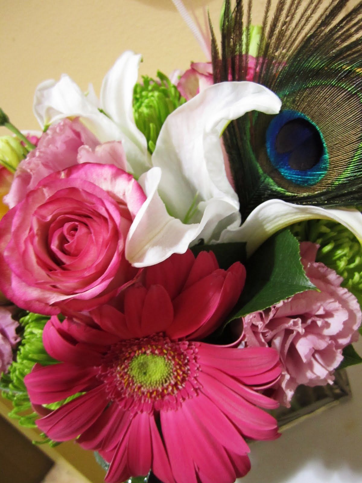 厂家现货供应75-85厘米天然孔雀毛 婚庆家居插花装饰羽毛