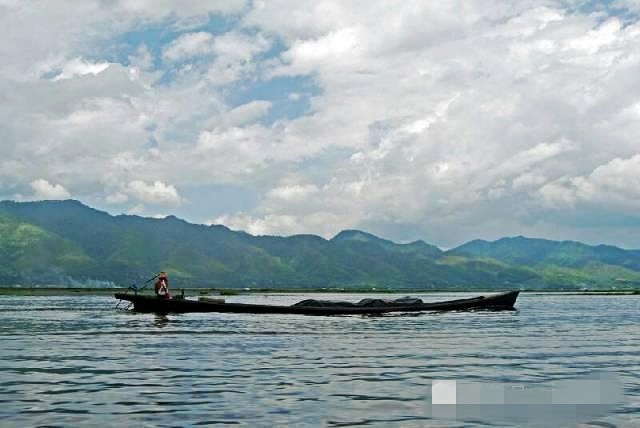 缅甸东枝茵莱湖,缅因猫_大山谷图库
