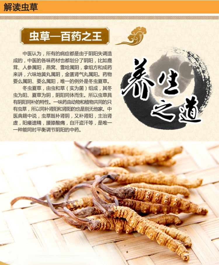 极虫草含片 压片虫草片 蛹虫草人参 虫草含片批发 美容健体一件代