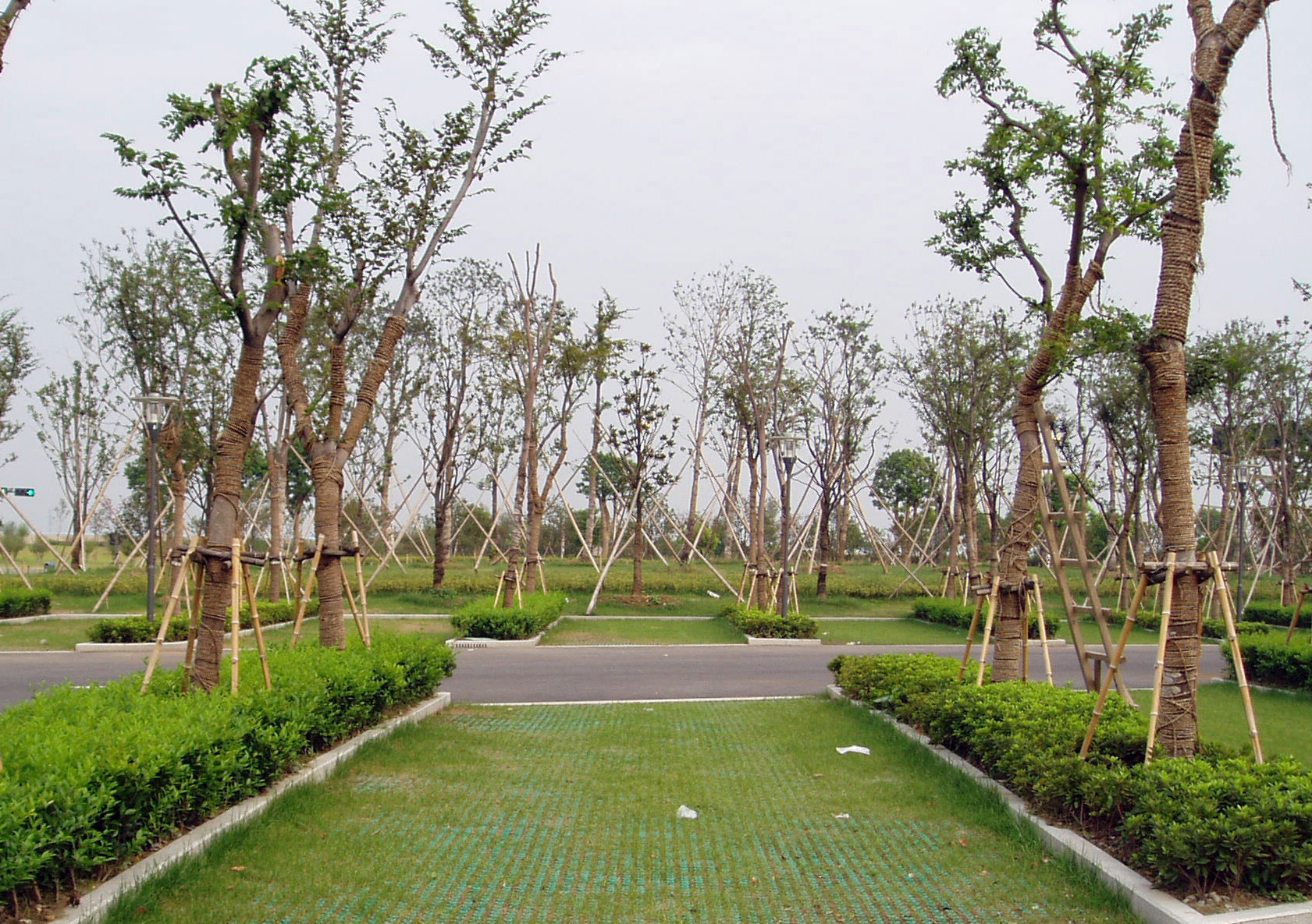 索尔生态植草格厂家直销透气耐腐蚀