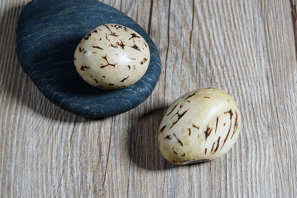 艺永轩正宗雕刻菩提子 精品抛光花纹纯天然象牙果菩提子厂家批发