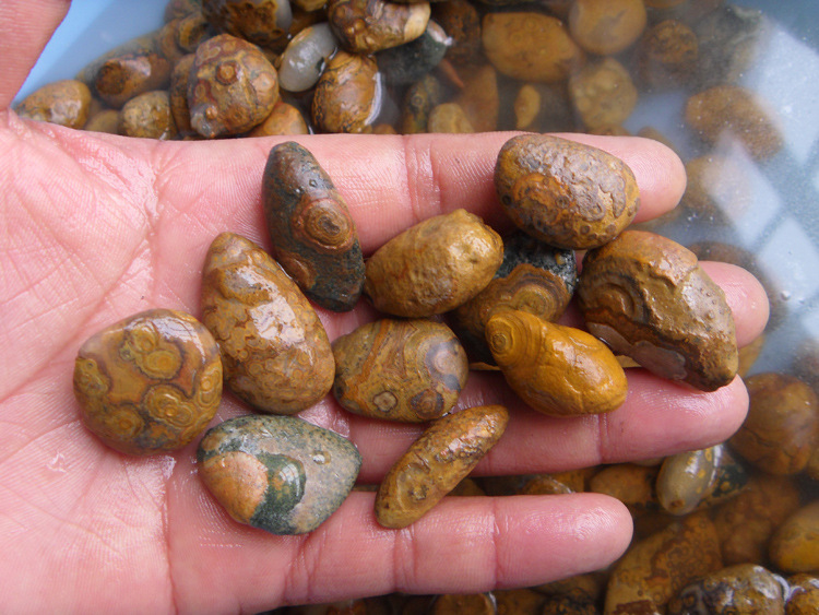 西藏天珠 九眼石页岩原石 吊坠料 每公斤 (小个)